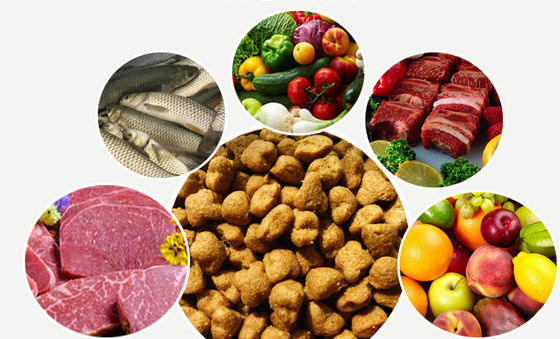 SBN Stainless Steel Dry Dog Food Pellet Making Machine