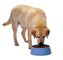 Кошачья еда собаки штрангпресса машины пищевой промышленности корма для домашних животных гарантия 1 года
